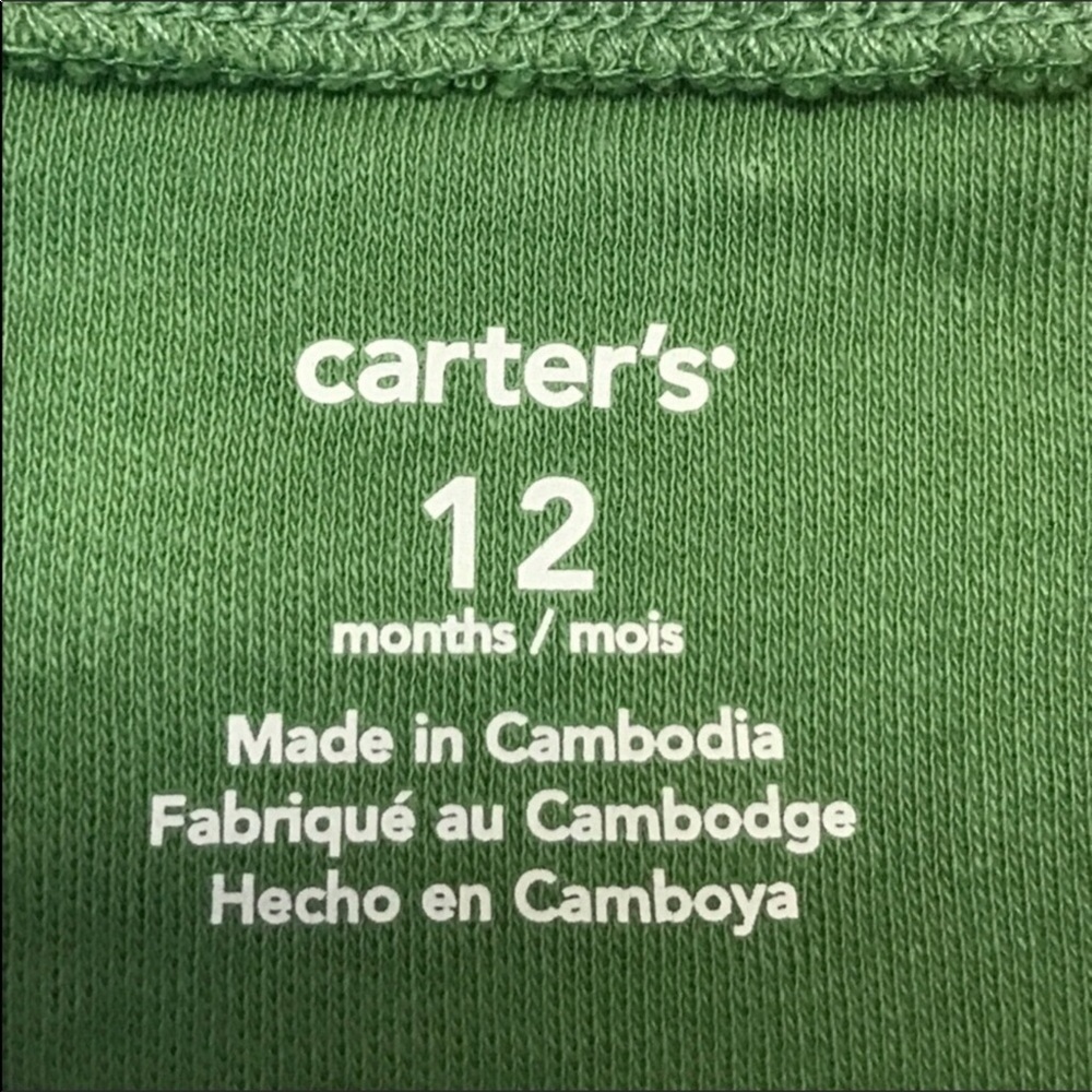 Carter’s Infant Two Piece Dinosaur Outfit - Picture 4 of 8